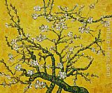 Branches of an Almond Tree in Blossom yellow